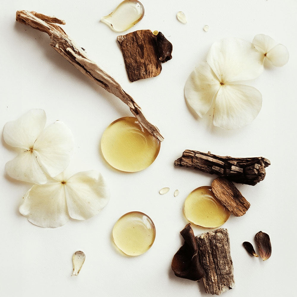 Whipped GrassFed Tallow Balm with Vanilla Bean