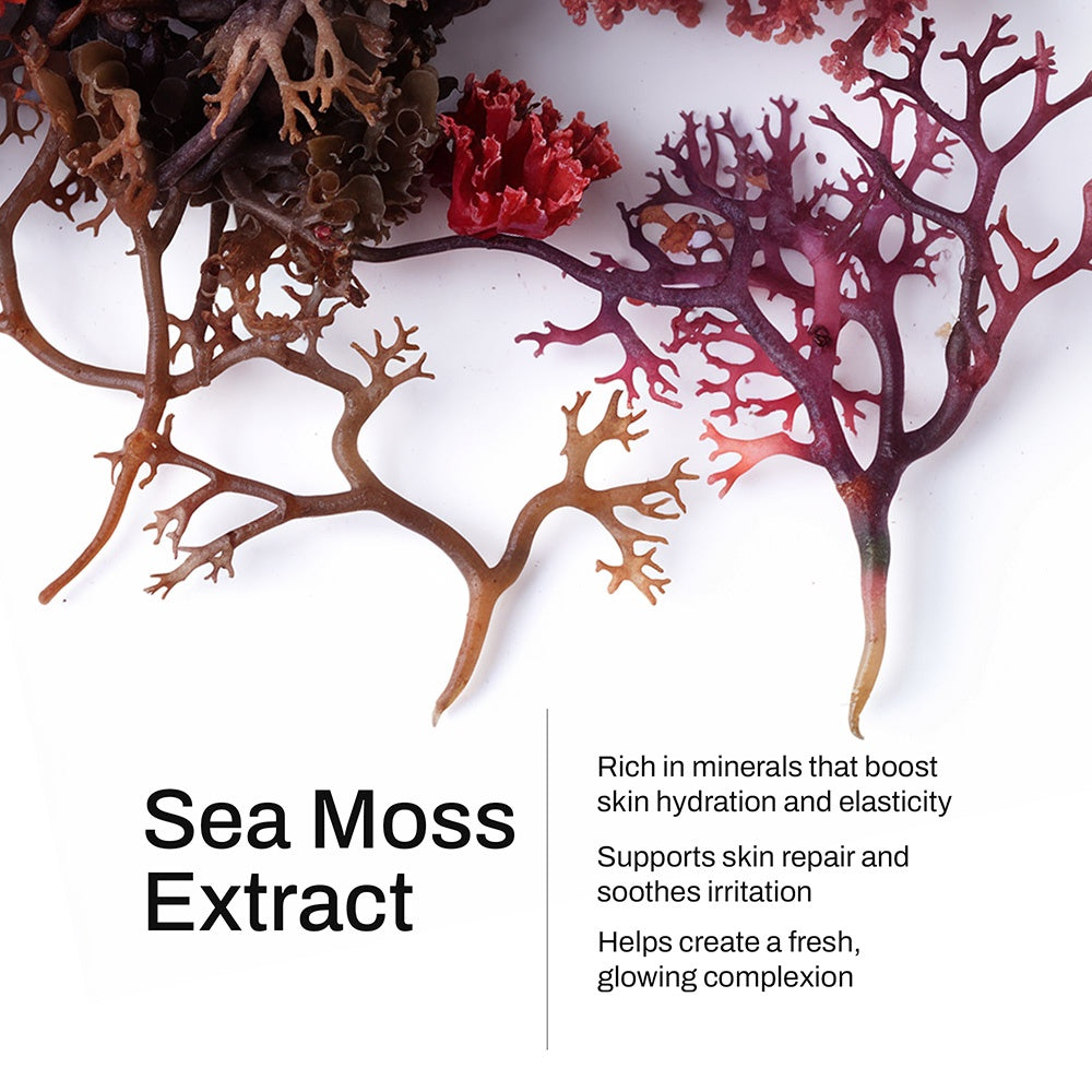 Manuka Honey Sea Moss Daily Moisturizing Body Oil